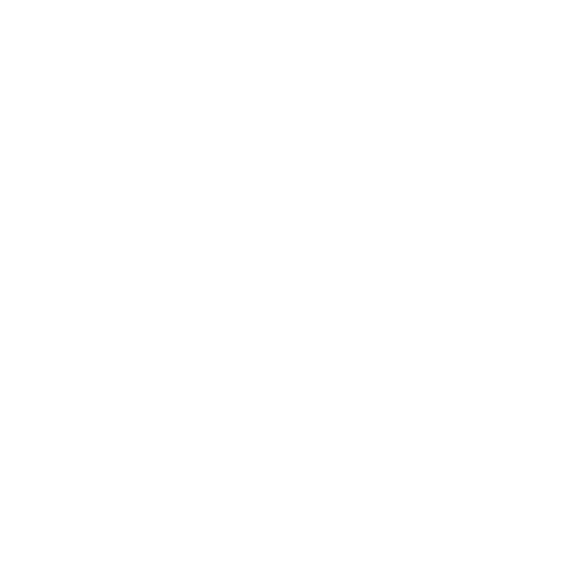 AFDE_20250411_Copenhagen_Nanosystems_Logo_Favicon_White