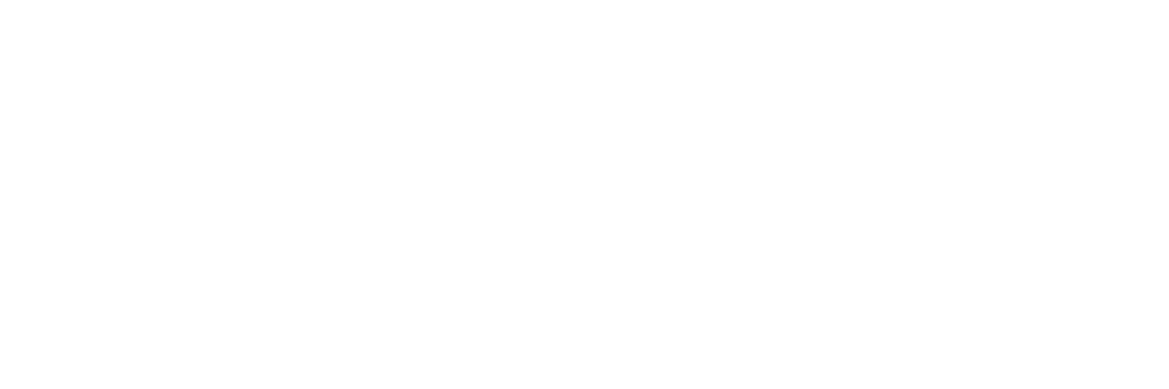 AFDE_20250411_Copenhagen_Nanosystems_Logo_Tagline_Regular_White