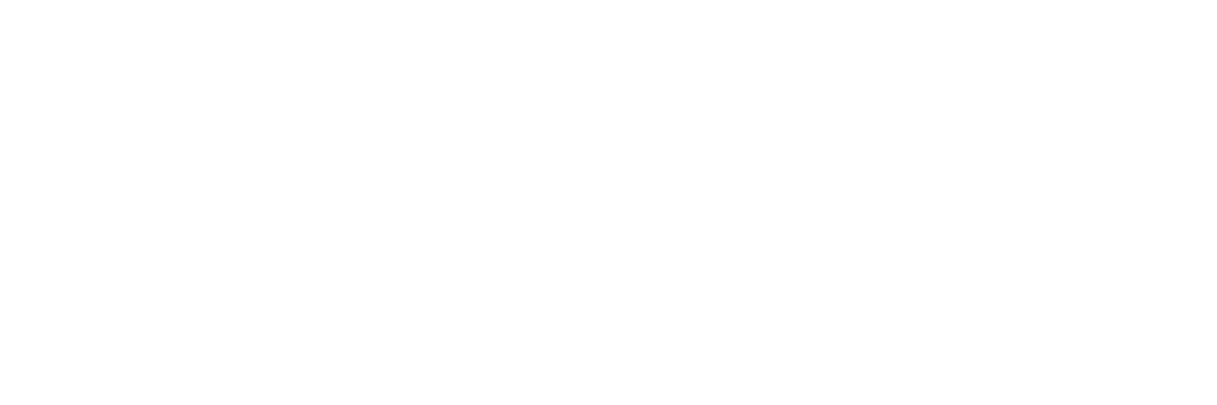 AFDE_20250411_Copenhagen_Nanosystems_Logo_Tagline_White